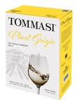 Bilde av produktet Tommasi Pinot Grigio 2024