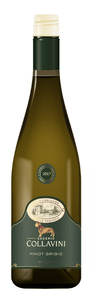 Collavini Pinot Grigio Canlungo Collavini Pinot Grigio Canlungo