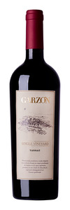 Garzón Single Vineyard Tannat