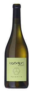 Cosmic Vinyaters Valentia