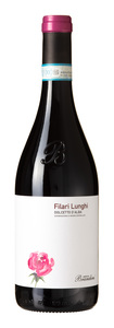 Brandini Filari Lunghi Dolcetto d'Alba 2023