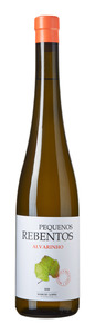Pequenos Rebentos Alvarinho 2025