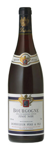 Dufouleur Bourgogne Pinot Noir 2023
