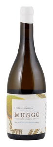 João Cabral Almeida Musgo Field Blend Branco