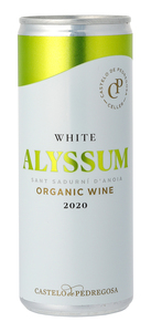 Bilde av Pedregosa Alyssum White 2021