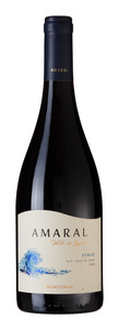 MontGras Amaral Syrah 2021