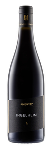 Weing. Knewitz Ingelheim Spätburgunder 2022