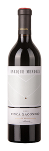 Enrique Mendoza Finca Xaconero 2022