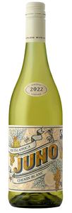 Bilde av Cape Wine Juno Chenin Blanc