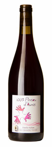 Grandes Vignes 100% Pineau d'Aunis 2022