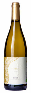 L'Austral Octopus Blanc 2023