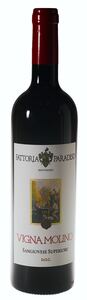 Paradiso Sangiovese Superiore Vigna Molino 2022