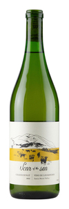 Scar of the Sea Bassi Vineyard Chardonnay 2023