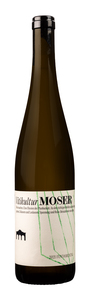 Vitikultur Moser Fundamental Grüner Veltliner 2021