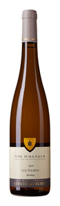 Stentz Buecher Riesling Tulipes
