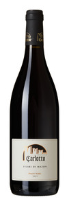 Carlotto Filari di Mazon Pinot Nero 2021