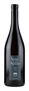 Ogereau Vent de Spilite 2023