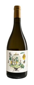 Cortinha Velha Vinho Verde Alvarinho Reserva 2023