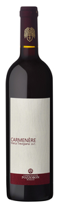 Pozzobon Carmenère Marca Trevigiana