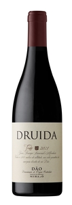 Druida Tinto