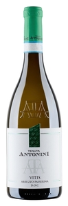 Tenuta Antonini Vitis Abruzzo Passerina