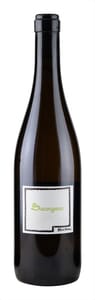 Markovic Sauvignon 2024
