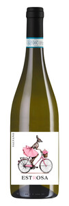 Salvano Estrosa Piemonte Bianco