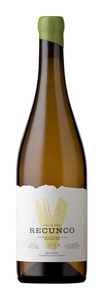 Valle del Recunco Vega 2025