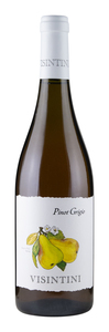 Visintini Pinot Grigio 2024