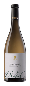H. Lun 1840 Pinot Grigio 2025