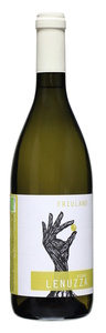 Vigna Lenuzza Friulano