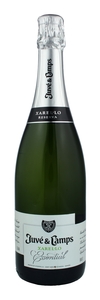 Bilde av Juvé y Camps Essential Brut