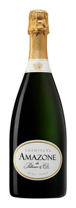Bilde av Amazone de Palmer Brut