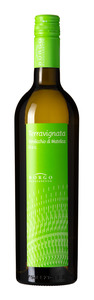Terravignata Verdicchio di Matelica 2017 Terravignata Verdicchio di Matelica 2017