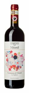Bilde av Casanuova di Nittardi Chianti Classico Vigna Doghessa 2021