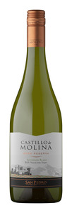 Castillo de Molina Gran Reserva Sauvignon Blanc 2022