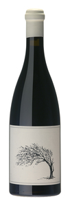 Savage The Girl Next Door Syrah Savage The Girl Next Door Syrah