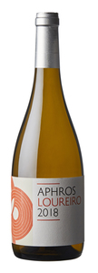 Bilde av Aphros Loureiro 2021