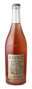Bilde av flasken for Paltrinieri Radice Lambrusco di Sorbara 2017