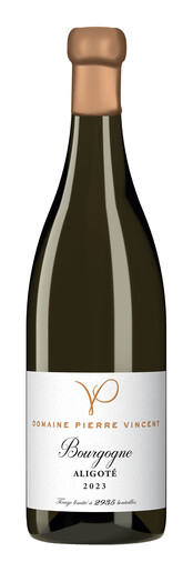 P. Vincent Bourgogne Aligote