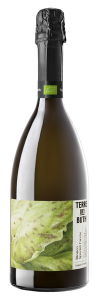 Terre dei Buth Spumante Brut Bianco Special Cuvée - Vinmonopolet